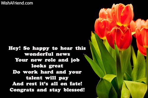congratulations for the new job