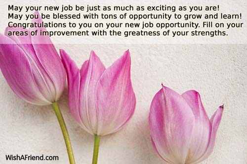 words of congratulations on new job