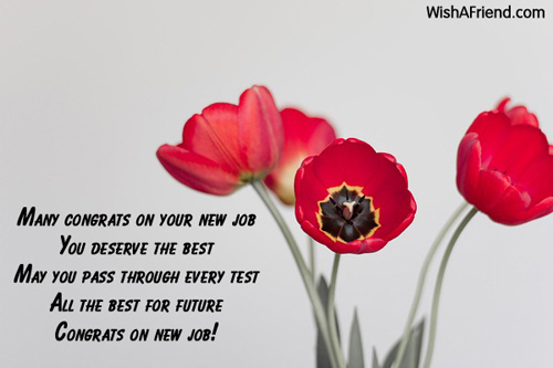 congratulations for the new job